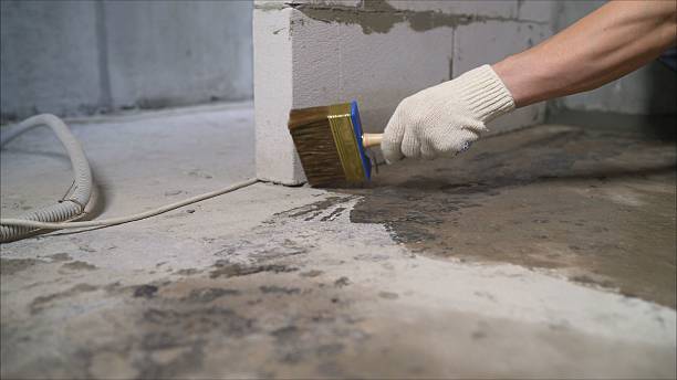 SJ Waterproofing Pros Sump Pump Installation coverage map for Palmyra, WI and surrounding area